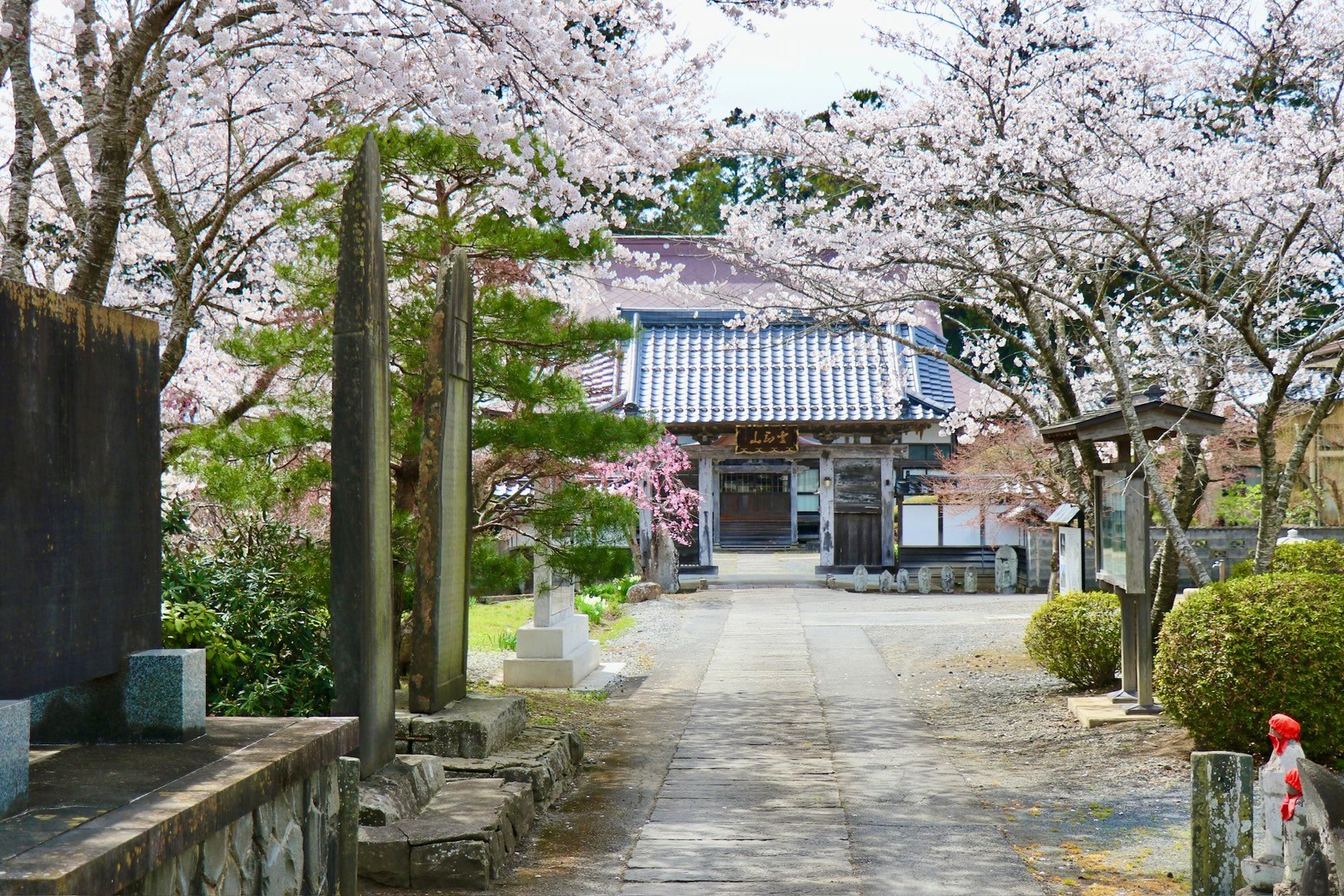 霊園に咲く花